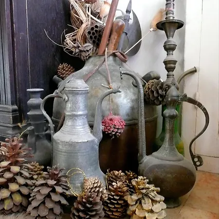 Diana'S B&B-3